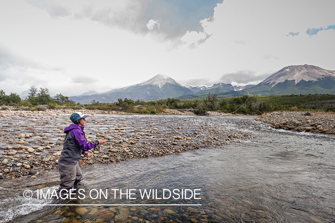 Woman fly fishing guide(Marcela Appelhanz) on stream.