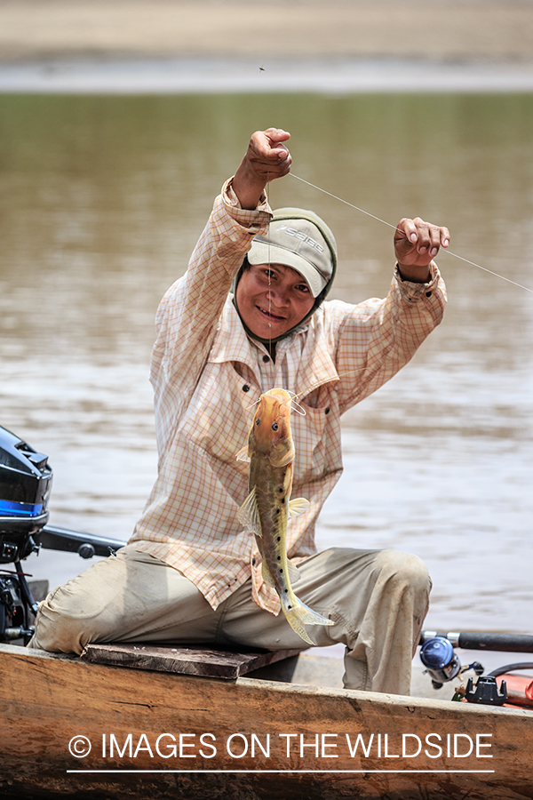 Flyfishing for Golden Dorado in Bolivia. (bow fishing)