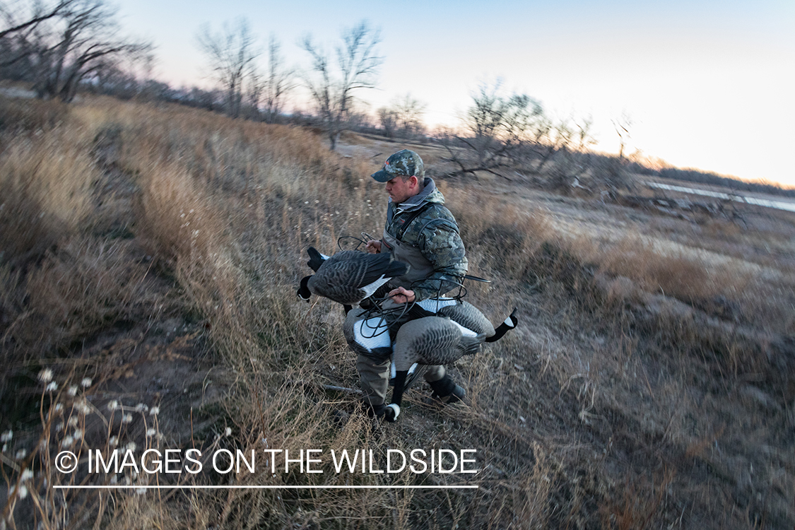 Waterfowl hunting