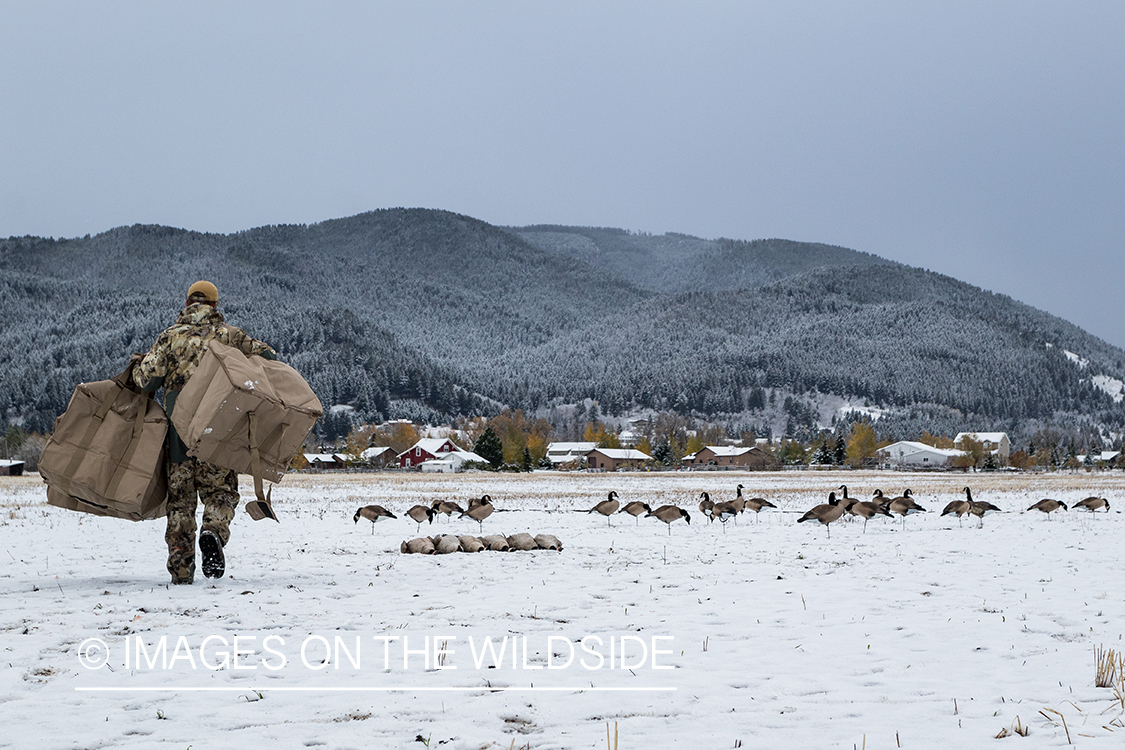 Hunters picking up decoys.