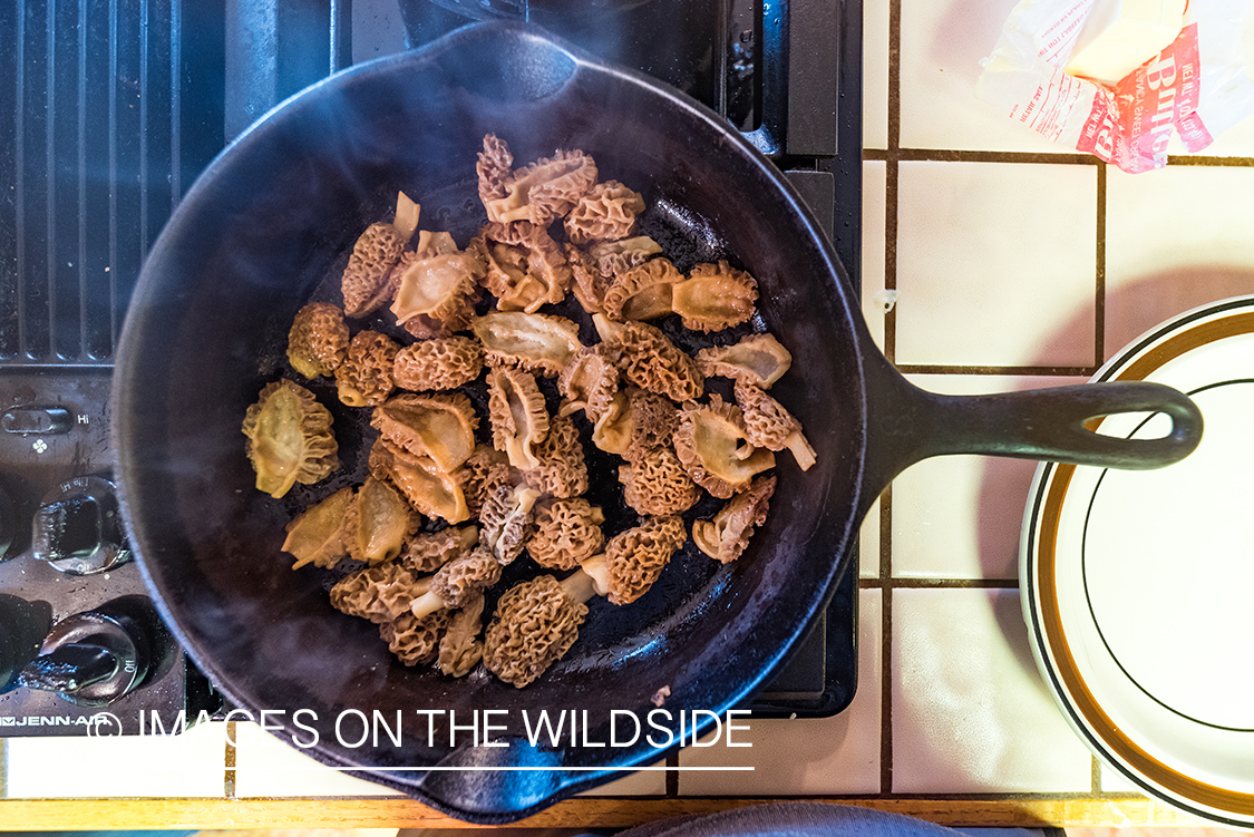 Cooking morel mushrooms