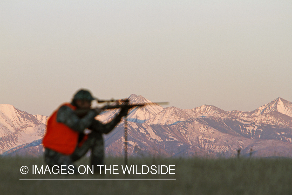 Big game hunter taking aim in field. 