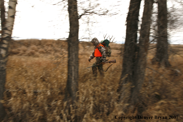 Mule deer hunter in field.