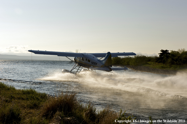 Plane taking off from Alaskan waters. 