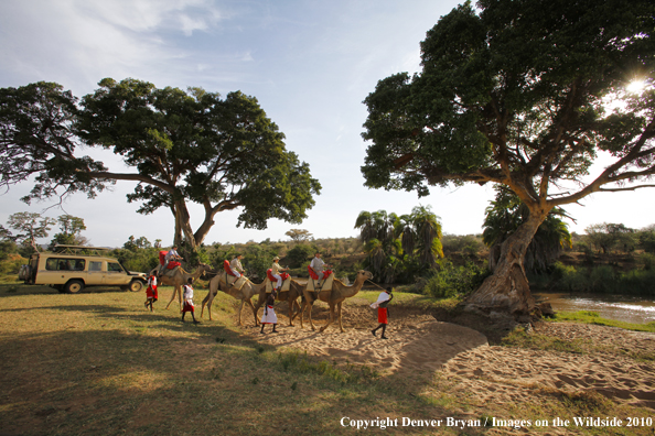 Family riding camels on african safari