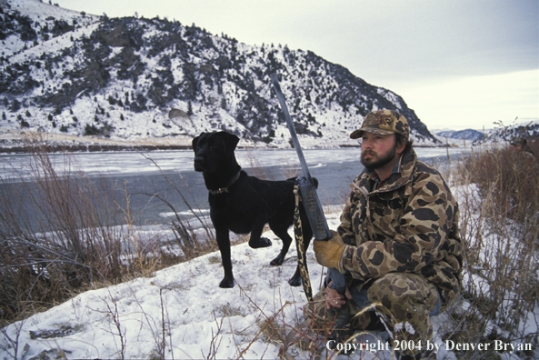 Duck hunter with black Lab.