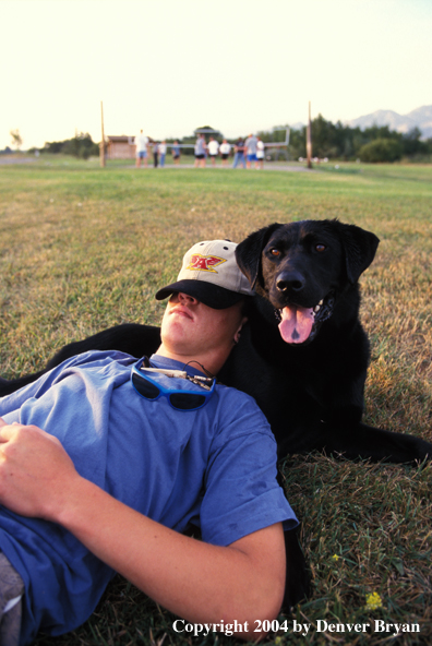 Owner using Black Labrador Retriever as pillow