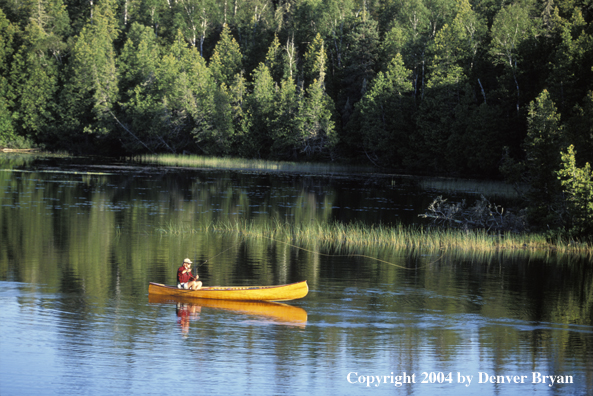 Flyfisherman fishing from cedar canoe.