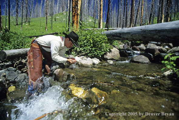 Cowboy drinking from mountain creek.