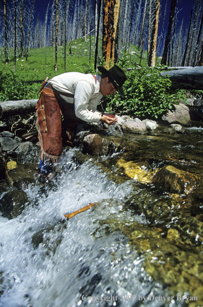 Cowboy drinking from mountain creek.