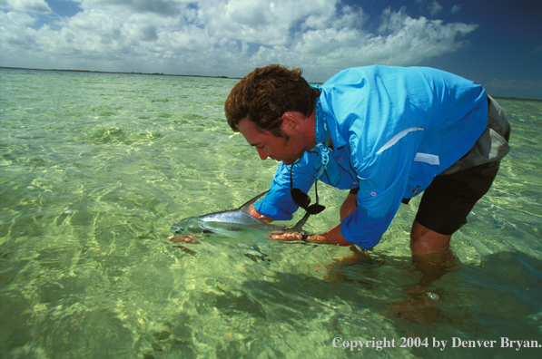 Saltwater flyfisherman releasing permit.