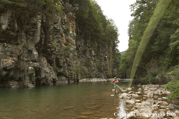 Flyfisherman casting on river.