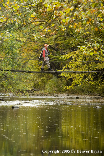 Flyfisherman crossing creek on footbridge.