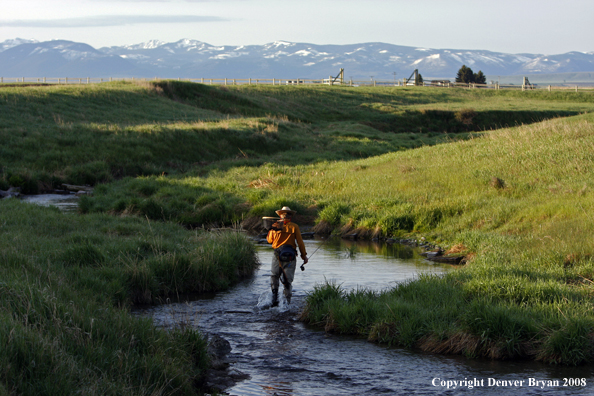 Flyfisherman fishing warm springs