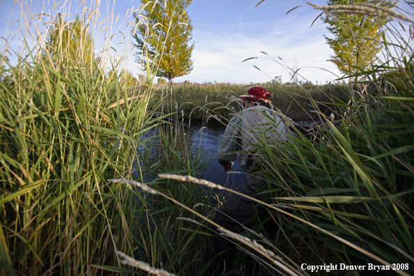 Flyfisherman fishing freshwaters