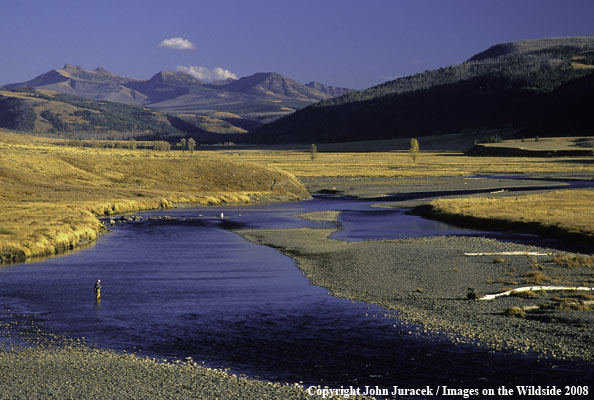 Flyfishing on the Lamar River