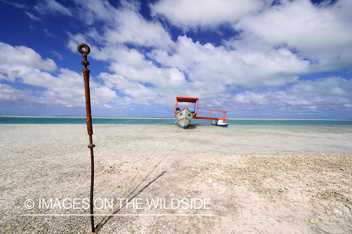 Boat tied off in shallows.