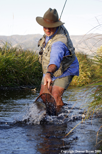 Flyfisherman landing rainbow trout