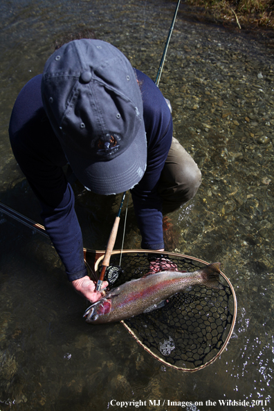 Flyfisherman with a nice rainbow trout.