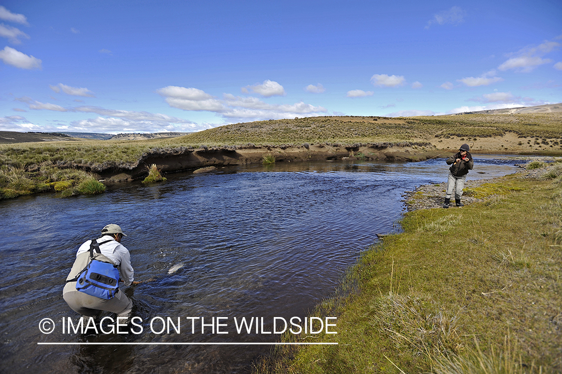 Flyfisherwoman fighting rainbow trout on line.