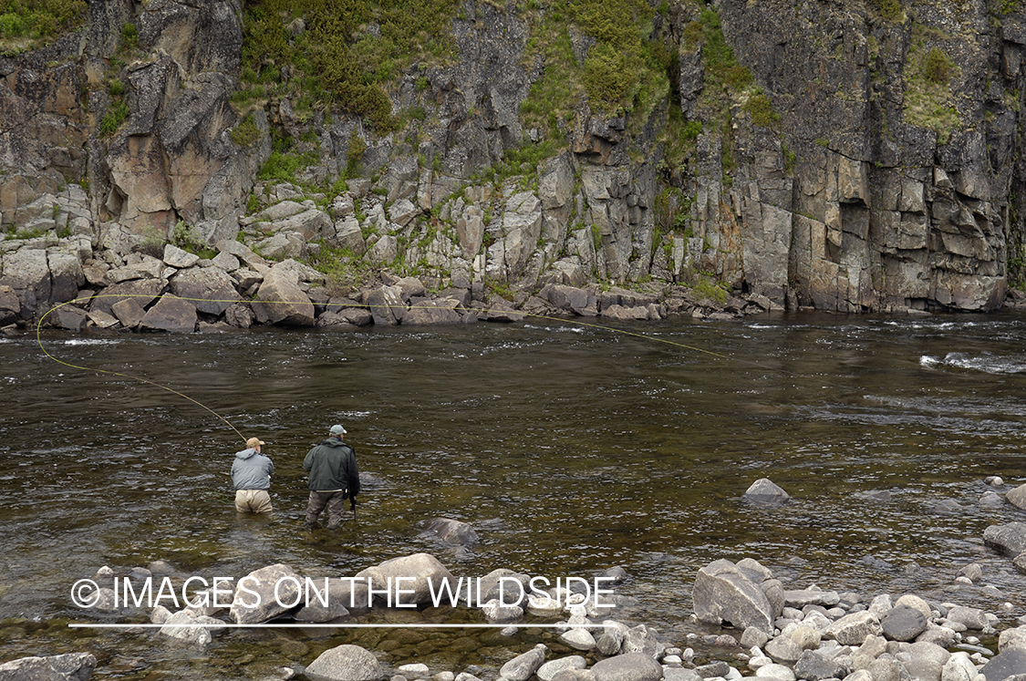 Flyfisherman fighting with Atlantic Salmon.