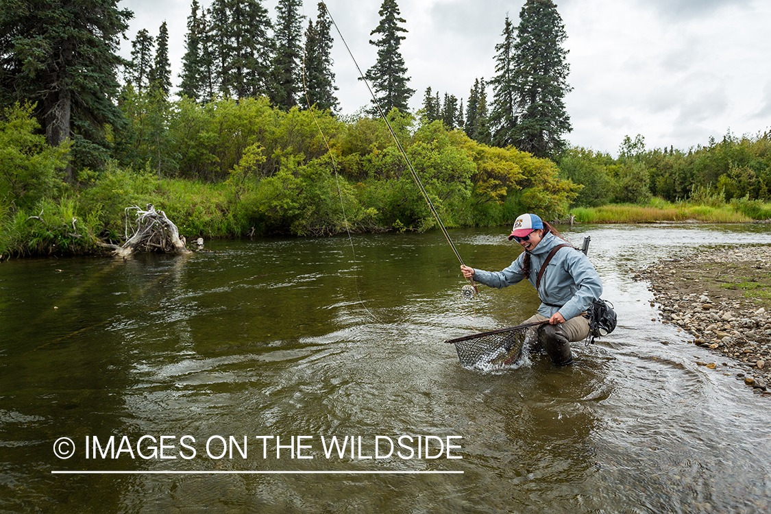 Flyfisher Camille Egdorf landing fish on Nushagak river.