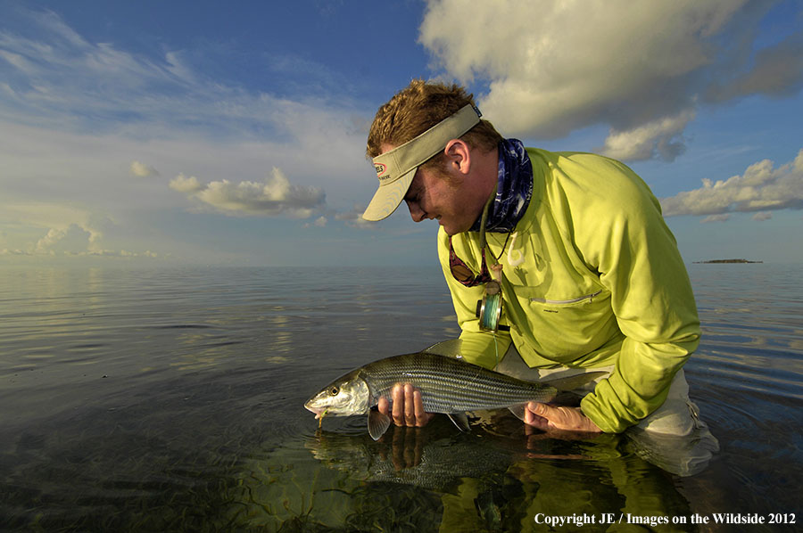 Flyfisherman releasing bone fish.