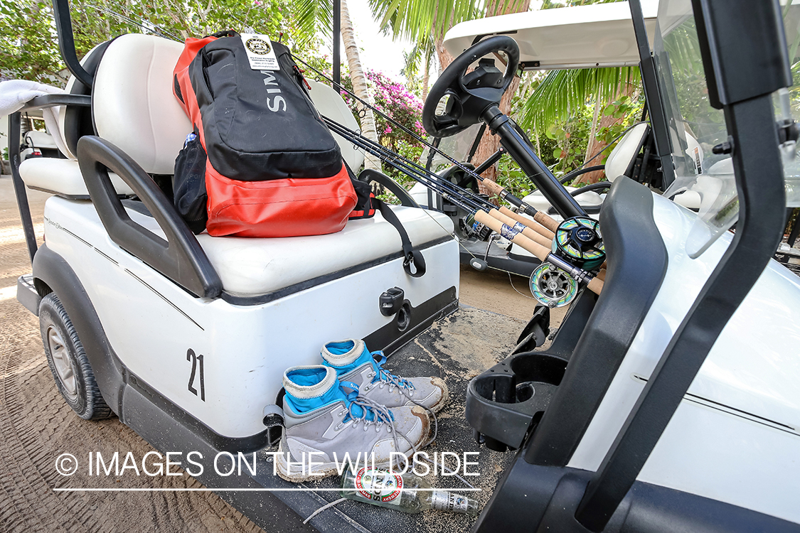 Golf cart and fishing gear.