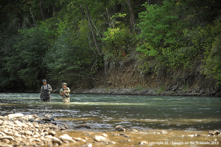 Flyfishers with hooked steelhead.