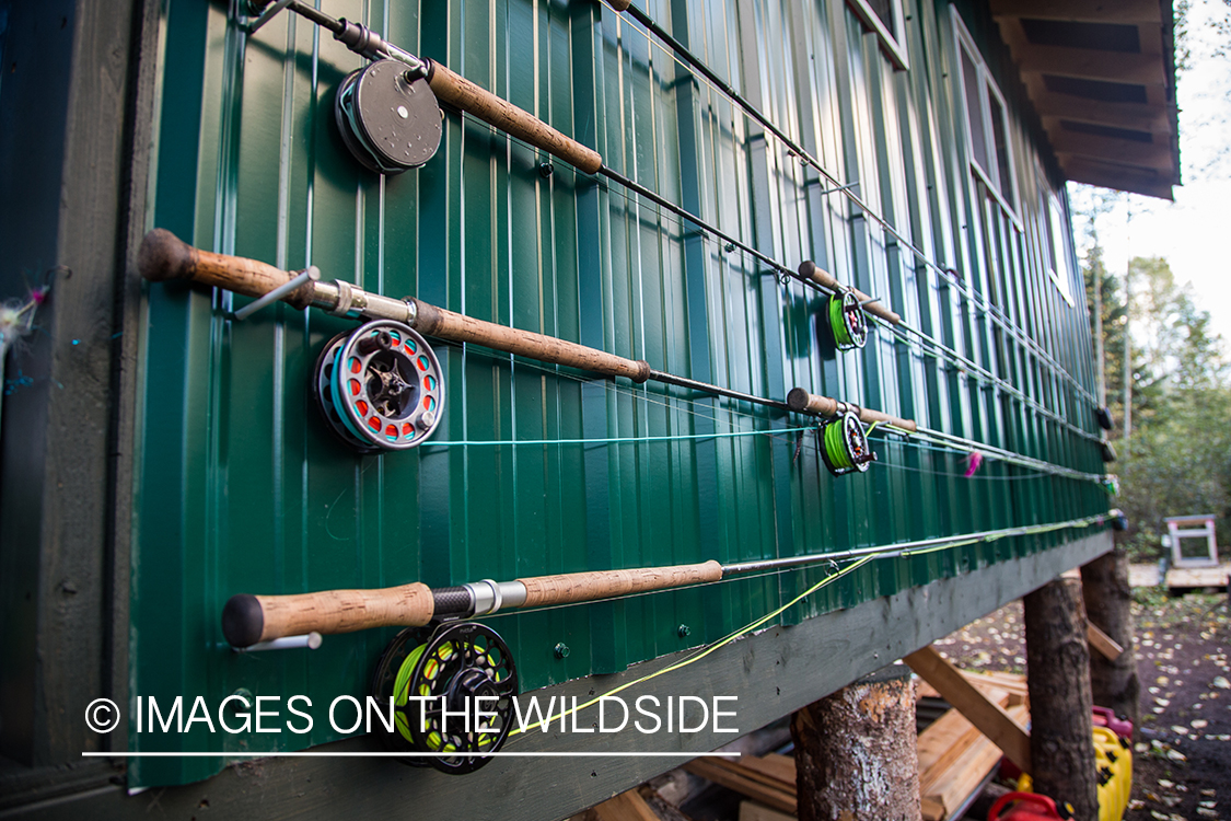 Fly rods hanging along fishing cabin.