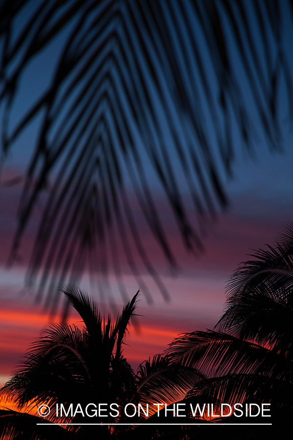 Sunset on beach in Belize.