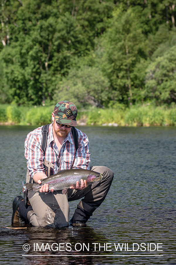 Flyfisherman with rainbow trout in Sedanka river in Kamchatka Peninsula, Russia.