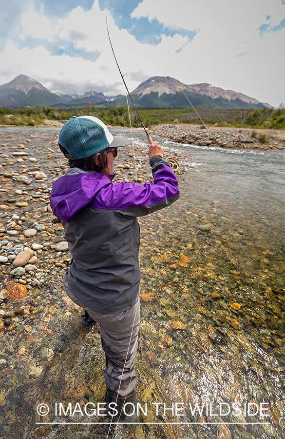 Woman fly fishing guide(Marcela Appelhanz) on stream.