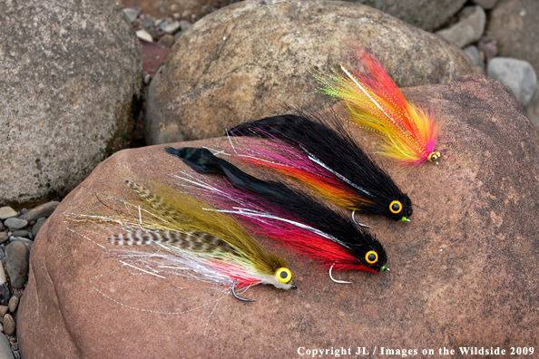 Flyfishing flies on rock