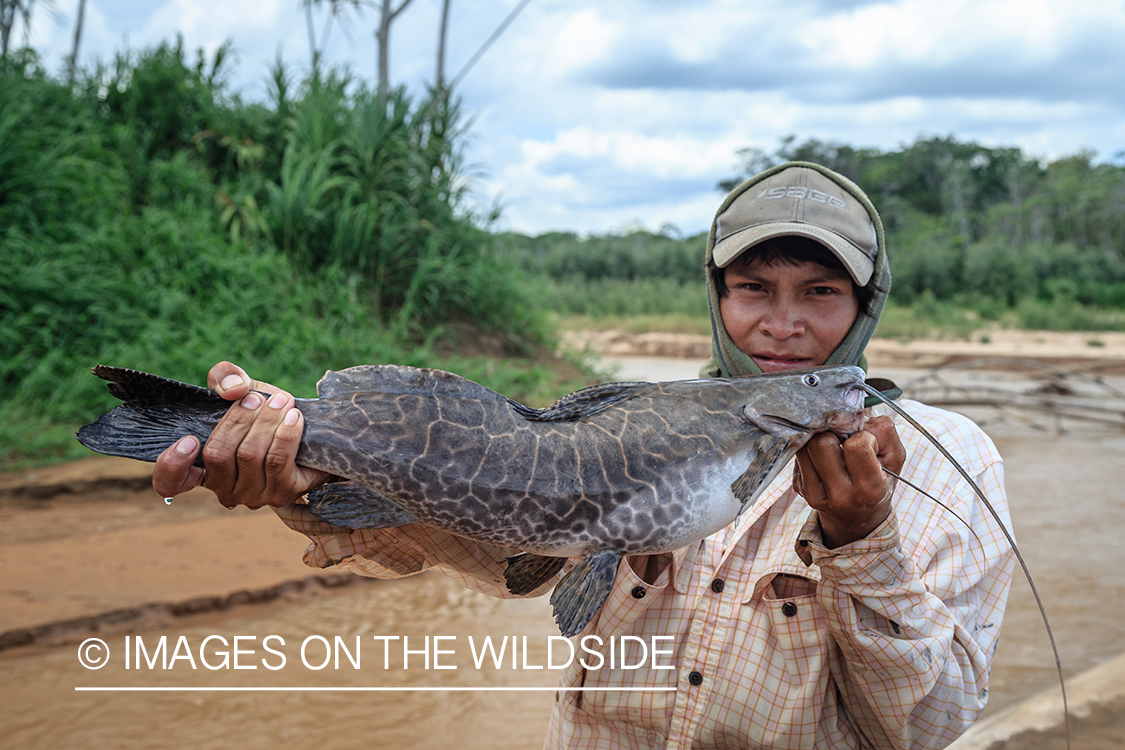 Flyfishing for Golden Dorado in Bolivia. (bow fishing)