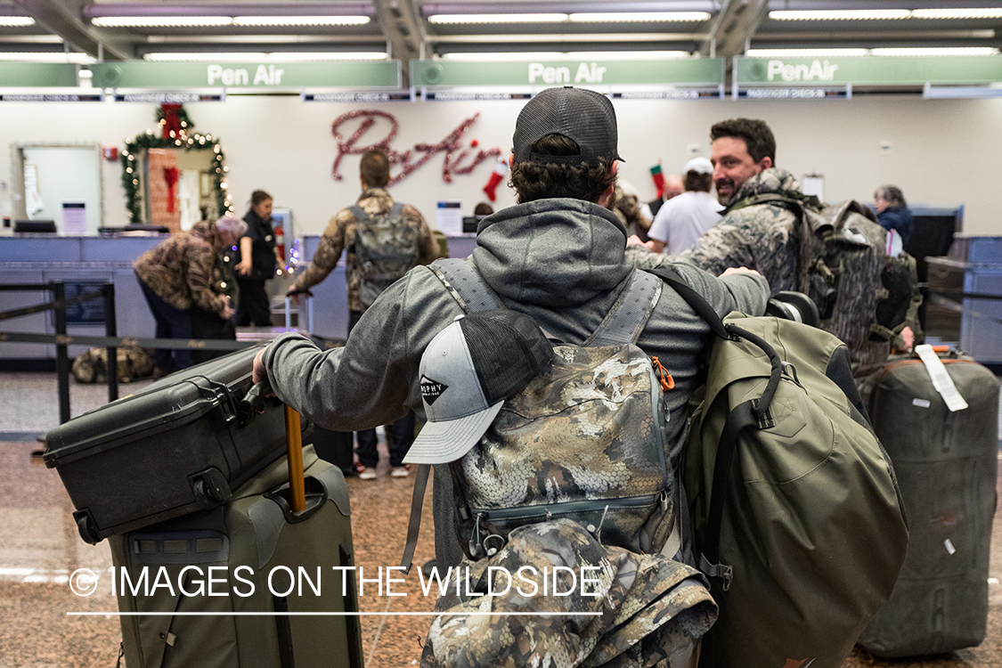 King Eider and Long-tailed duck hunting in Alaska, hunters in airport.