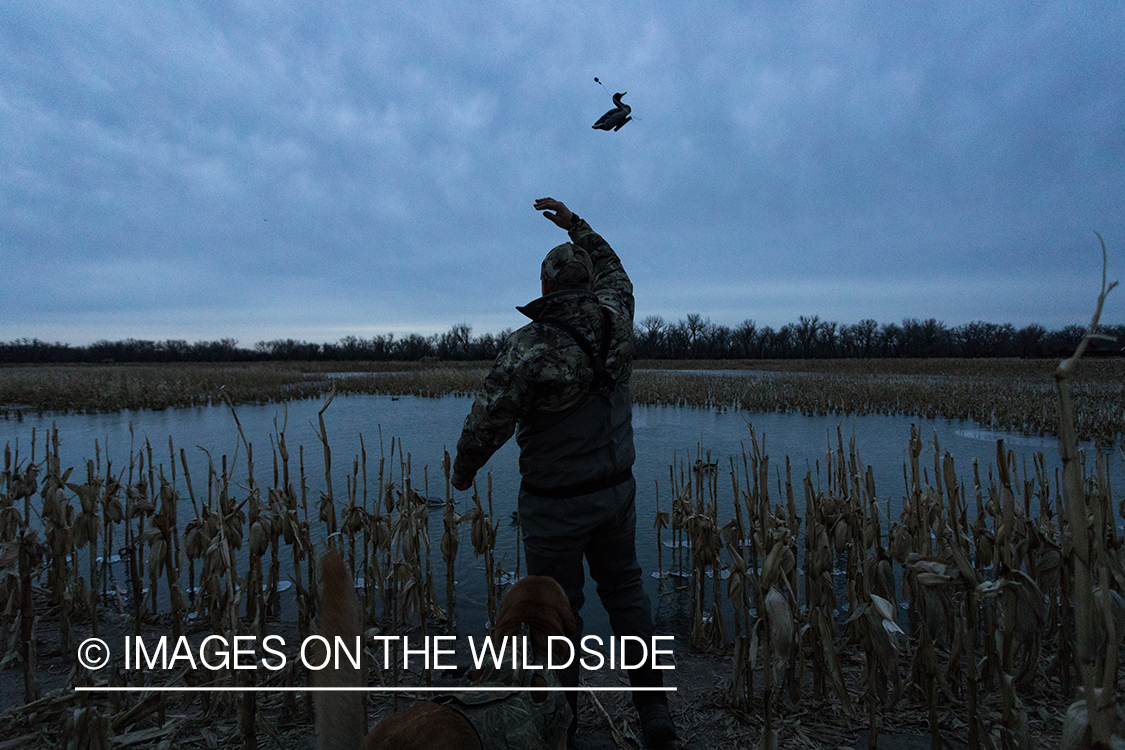 Waterfowl hunting