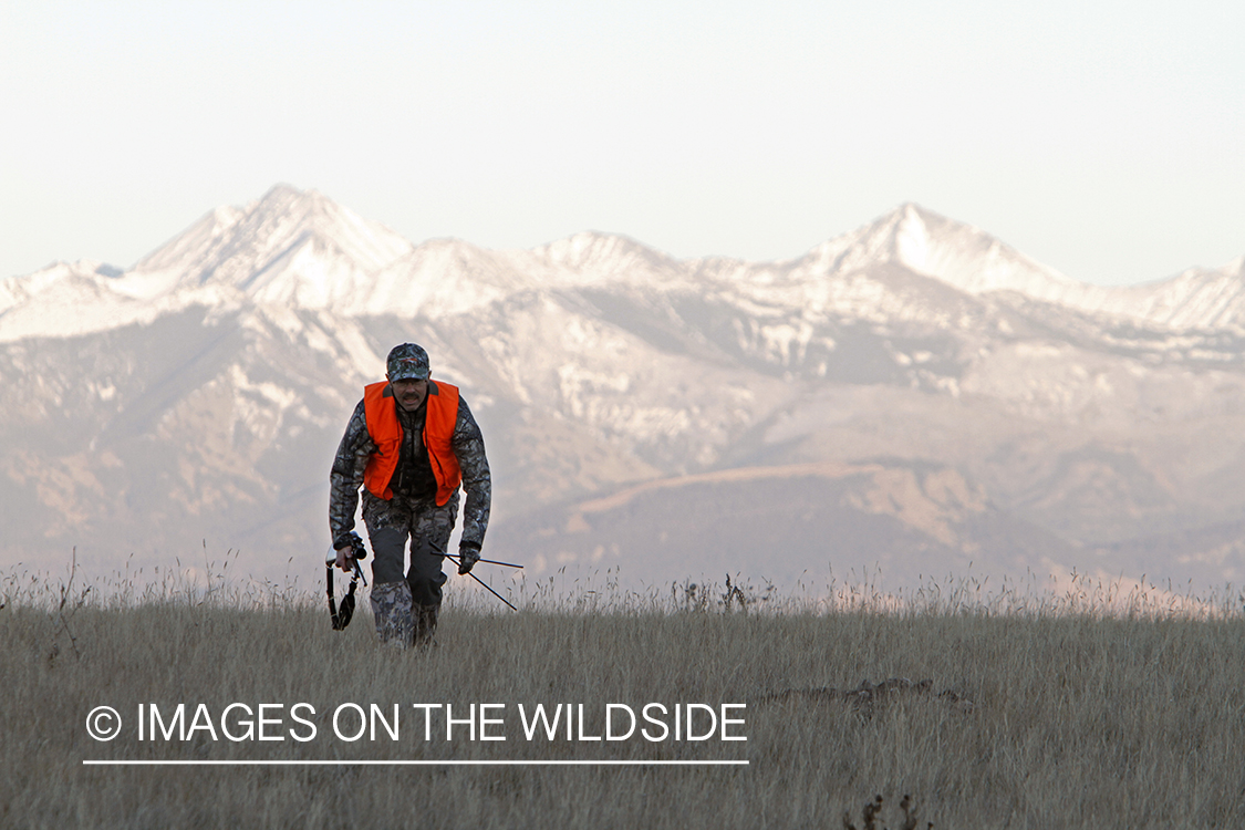 Big game hunter stalking game in field.