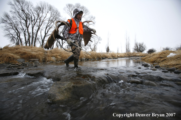 Moose hunter in field