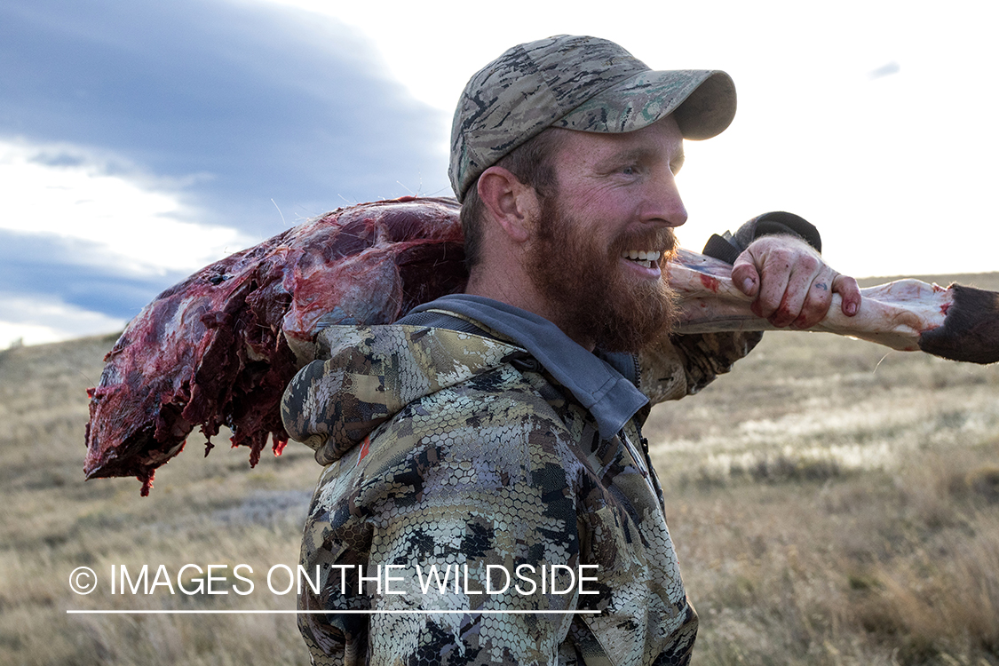 Archery hunter packing out leg of elk.