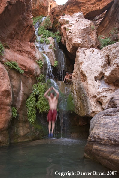 Swimmers jumping into waterfall/feeder stream of the Colorado River.  Grand Canyon.