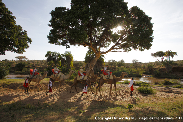 Family riding camels on african safari