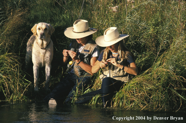 Women flyfishers checking/tying flies with yellow Lab.