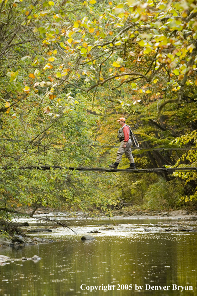 Flyfisherman crossing creek on footbridge.