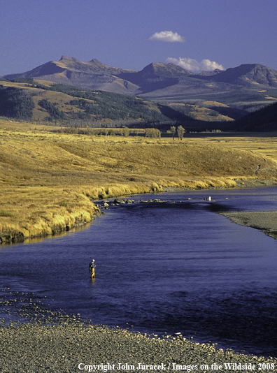 Flyfishing on the Lamar River