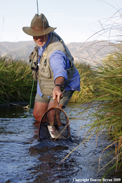 Flyfisherman landing rainbow trout