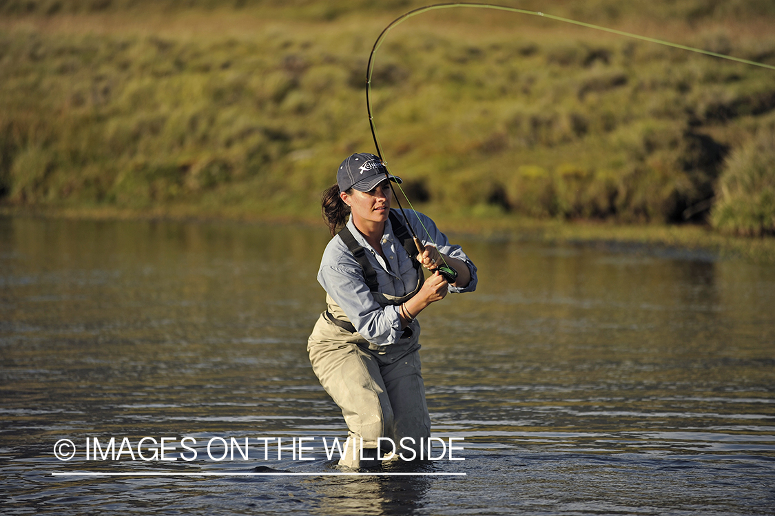 Flyfisherwoman fighting rainbow trout on line.