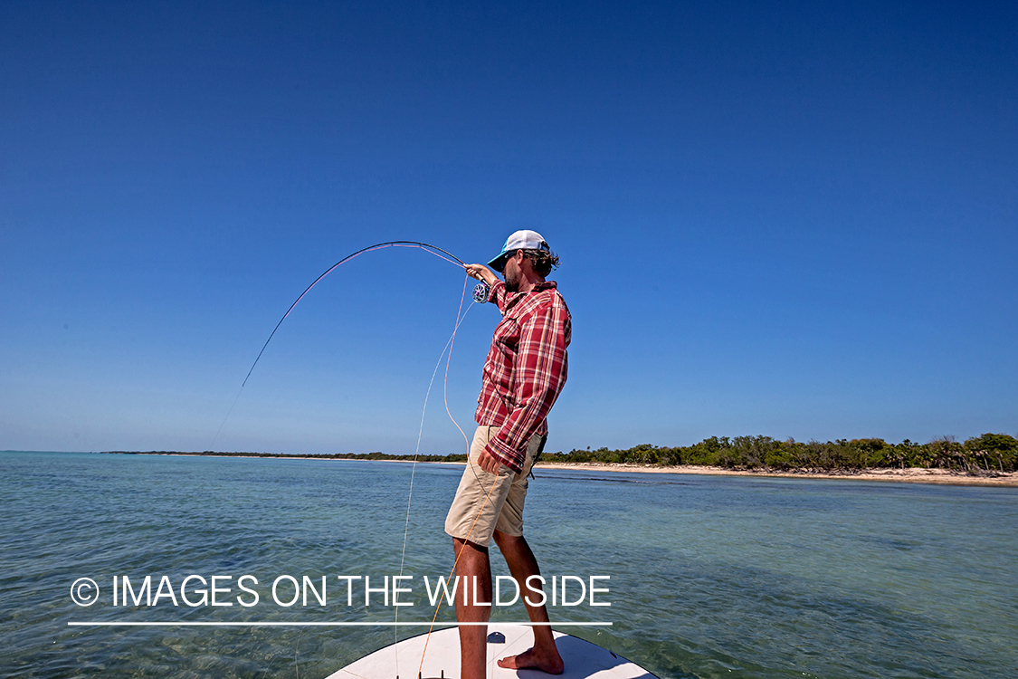 Flyfisherman fighting with bonefish.