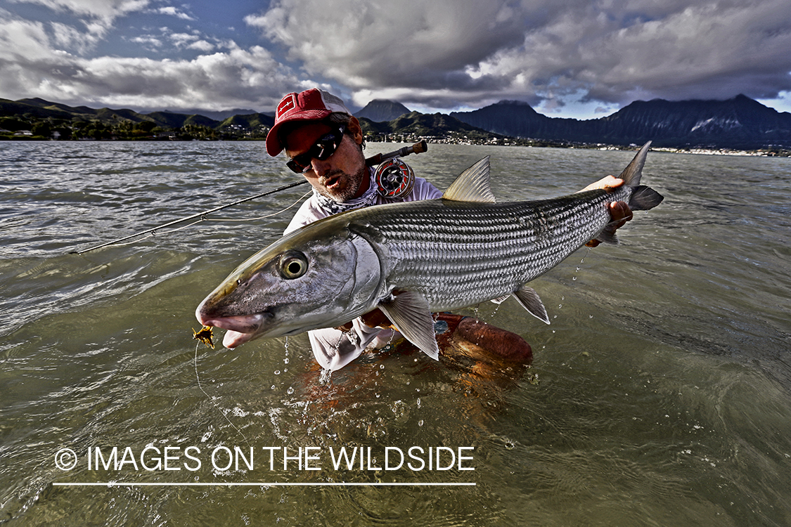 Saltwater flyfisherman with 13 lb bonefish, in Hawaii. (HDR)