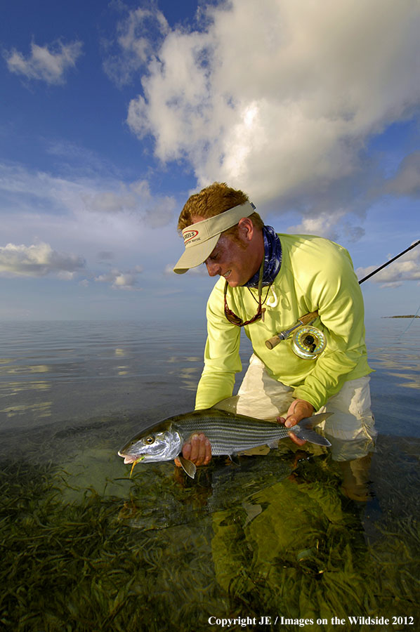 Flyfisherman releasing bone fish.